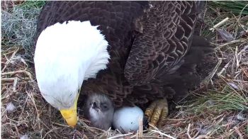 Image 2-10-25 at 10.37 AM